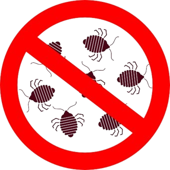 Ticks