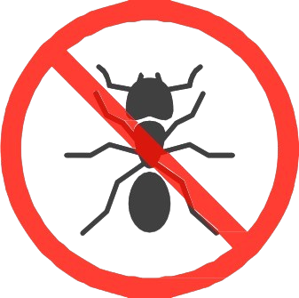 Ants
