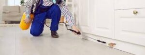 Pest Control