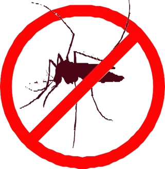 mosquitoes