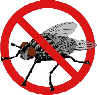 Fleas