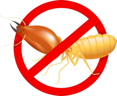 termites